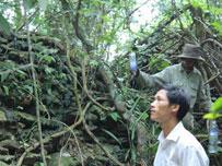 1,600 Year-Old Ancient Citadel Discovered