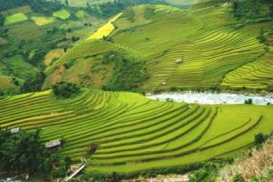 3 North Vietnam Provinces Aiming For Tourism Development