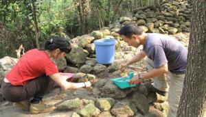 500-Year Old Rampart Destroyed