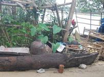 Ancient Canoes Discovered in Hue