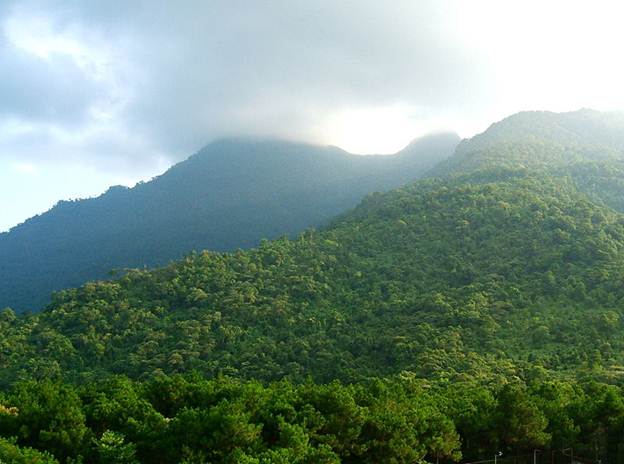 Ba Vi National Park: The Changing of Seasons Ba Vi National Park: The Changing of Seasons
