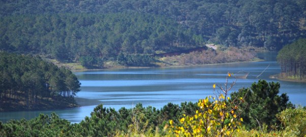 Buddhist Monastery in Da Lat Offers Peaceful Retreat Buddhist Monastery in Da Lat Offers Peaceful Retreat