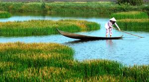 Ca Mau Cape: Southern Beauty Ca Mau Cape: Southern Beauty
