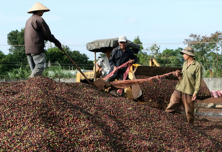 Central Highlands: More Than Coffee Central Highlands: More Than Coffee