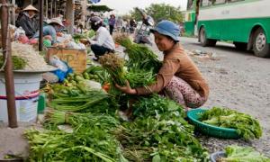 City Efforts to Stabilize Commodity Prices Successful City Efforts to Stabilize Commodity Prices Successful