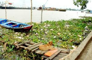 City learns U.S. model to control pollution of Saigon River