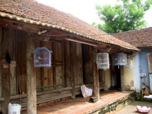 Coc Thon Hamlet: A refuge for ancient, traditional houses Coc Thon Hamlet: A refuge for ancient, traditional houses