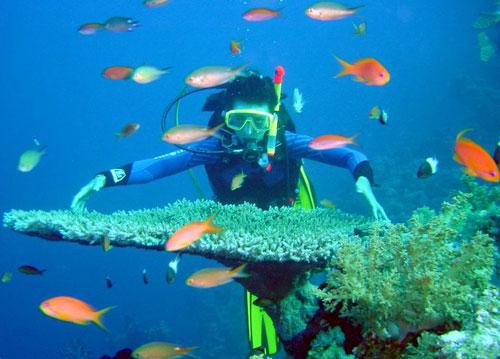 Con Dao Islands: Haven for Sea Animals Con Dao Islands: Haven for Sea Animals