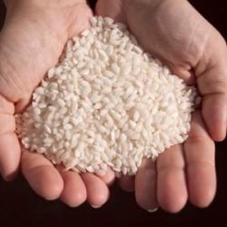 Cost of Rice Expected to Rise