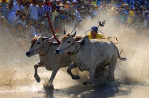 Cultural Activities Featured in 5th Khmer Festival in An Giang Cultural Activities Featured in 5th Khmer Festival in An Giang