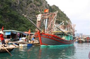 Dealing With the Blunders of Tourism in Vietnam Dealing With the Blunders of Tourism in Vietnam