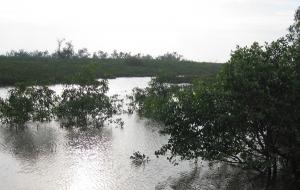 Discover Xuan Thuy Ramsar Discover Xuan Thuy Ramsar