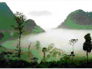 Exploring Xuan Son National Park in Vietnam Exploring Xuan Son National Park in Vietnam