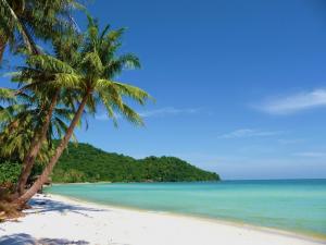 Fishing Pleasure in Phu Quoc Fishing Pleasure in Phu Quoc