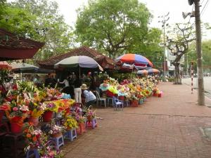 Flower Markets to Color the Streets of HCMC on Tet