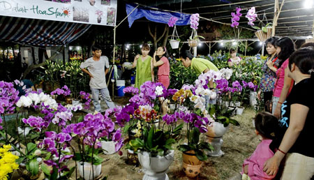 Flower Road Being Prepared for Tet