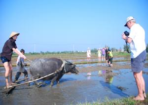 Foreign visitors practice farmer’s job Foreign visitors practice farmer’s job