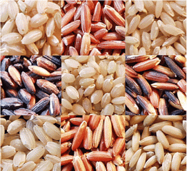 Global Stockpile causes Vietnam’s Rice Prices to Drop Global Stockpile causes Vietnam’s Rice Prices to Drop