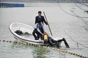 Hoan Kiem turtle fished out for treatment Hoan Kiem turtle fished out for treatment