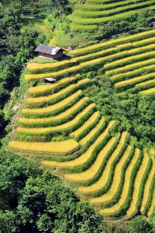 Hoang Su Phi: a Charming Destination Hoang Su Phi: a Charming Destination