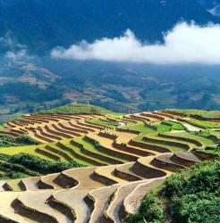 Homestay Services Boost Tourism in Sa Pa Homestay Services Boost Tourism in Sa Pa