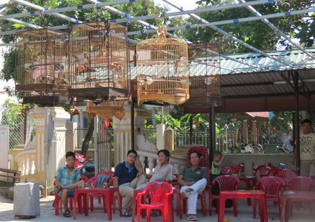 Hue: Coffee and Birds Hue: Coffee and Birds