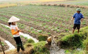 Income Growth in Vietnam Increases Human Development Income Growth in Vietnam Increases Human Development