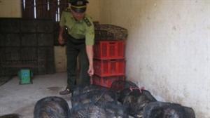 Indonesia, Vietnam combat illegal wildlife trading