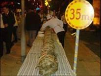 Longest Tet cake served in Nha Trang