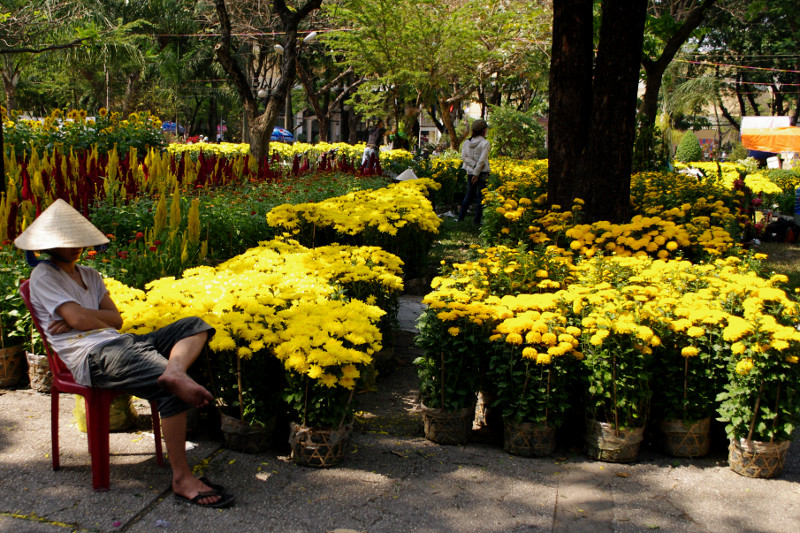 Markets Bustling on Tet New Year