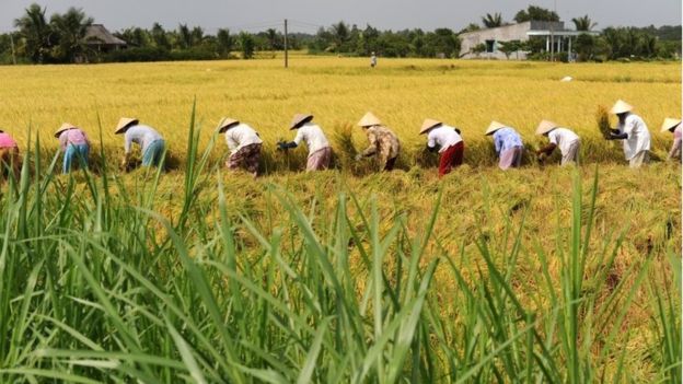 Mekong Delta Connects to the Future