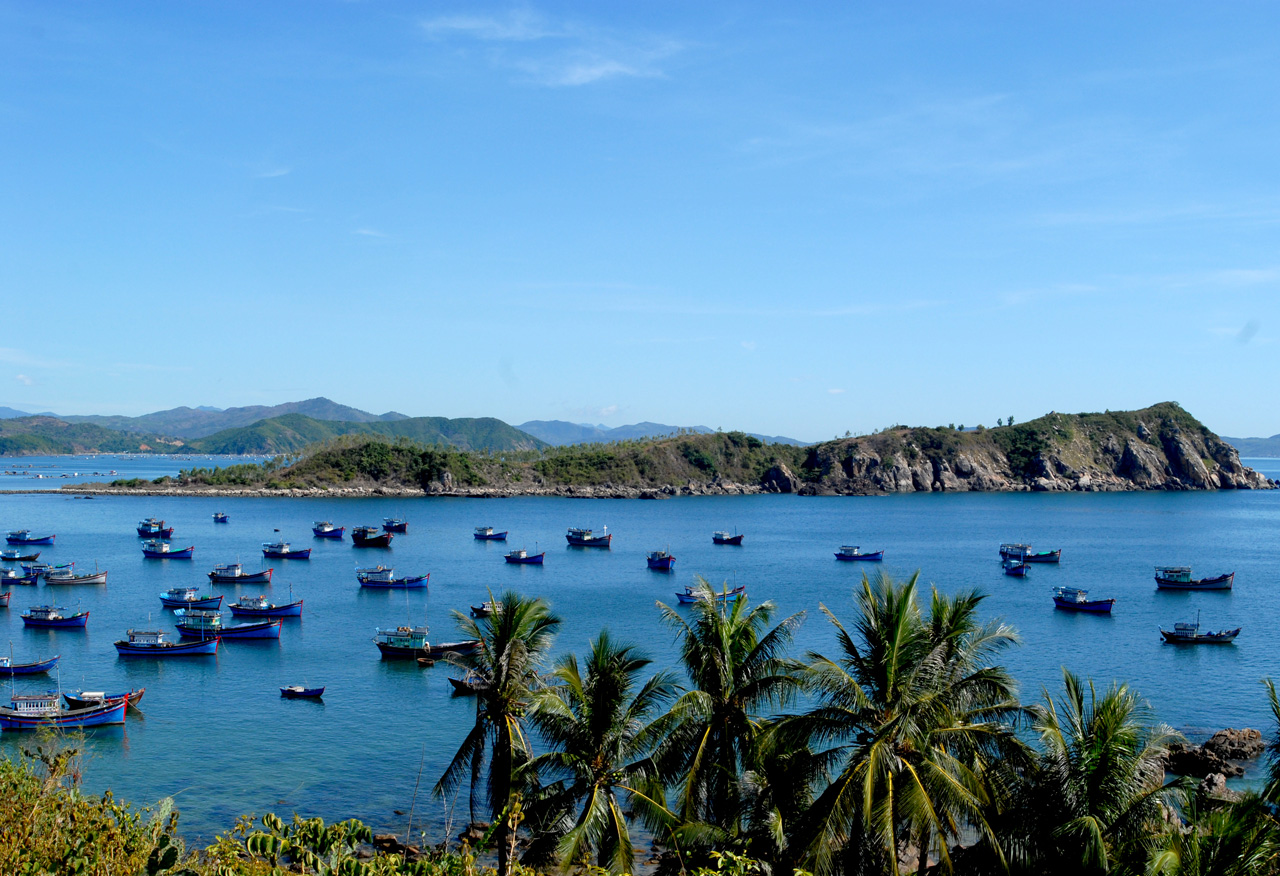 Movie-Themed Tours Attracts Visitors in Central Vietnam Movie-Themed Tours Attracts Visitors in Central Vietnam
