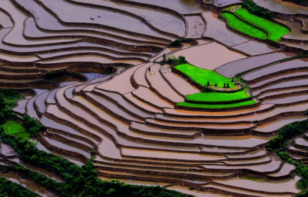 Mu Cang Chai: History and Beauty in Terrace Rice Fields