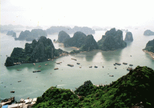 Nature’s Treat in Vietnam’s North Nature’s Treat in Vietnam’s North