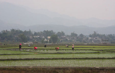 Nghia Lo Town offers visitors taste of highland life Nghia Lo Town offers visitors taste of highland life