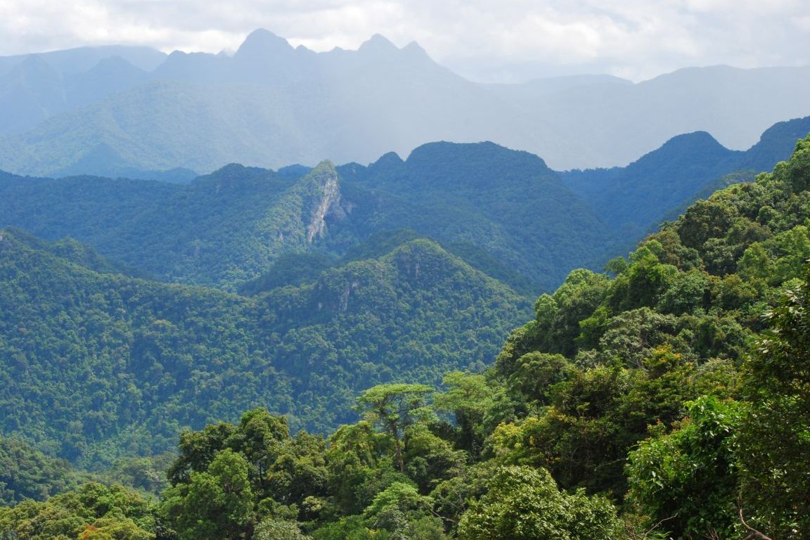 Phong Nha: A New Adventure Phong Nha: A New Adventure
