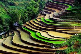 Sa Pa: 11th Most Beautiful Terraces Sa Pa: 11th Most Beautiful Terraces