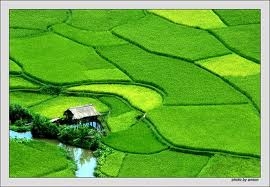 Short term, low cost tours favored for New Year travel season Short term, low cost tours favored for New Year travel season