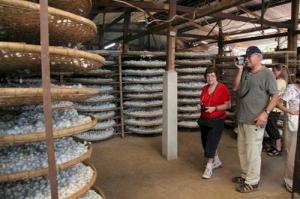 Silk from Lam Dong’s Local Shop Amazes Both Foreign and Domestic Tourists