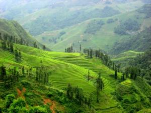 Simple, Tough but Beautiful Ha Giang