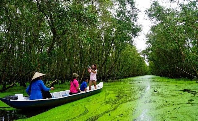 Take a Boat Ride Through the Beauty of Tra Su Cajuput Forest Take a Boat Ride Through the Beauty of Tra Su Cajuput Forest