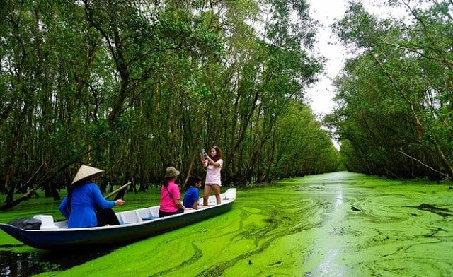 Take a Boat Ride Through the Beauty of Tra Su Cajuput Forest