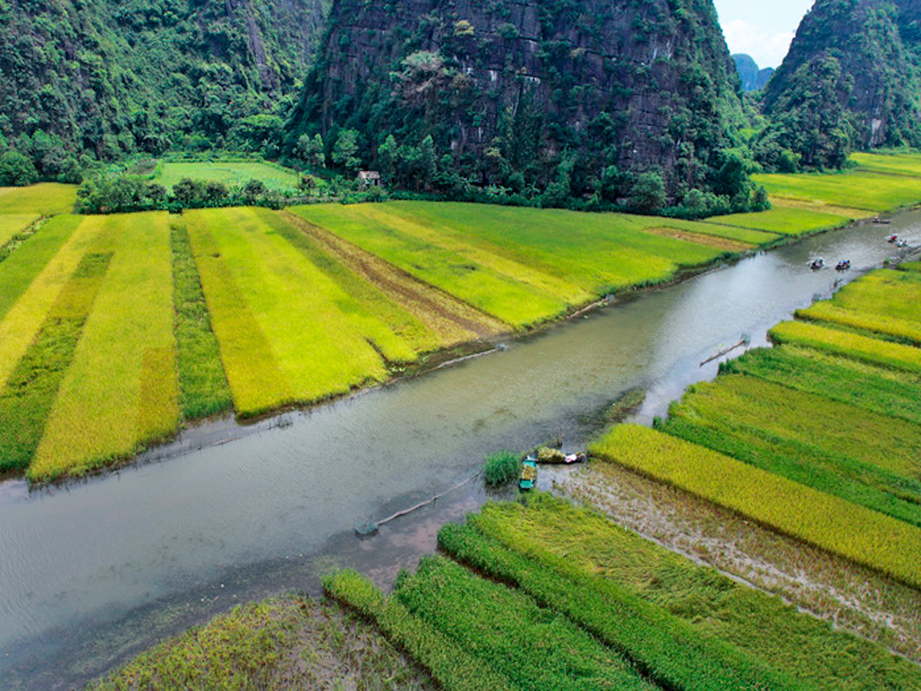 Tam Coc – Bich Dong: A Must-Visit During The Harvest And Green Rice Season
