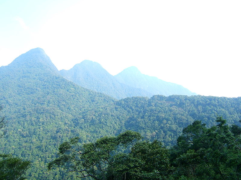 Tam Dao National Park: French Influence, Vietnamese Identity