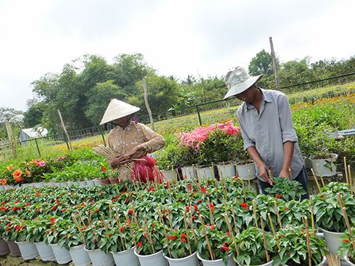 Têt in Mekong Delta