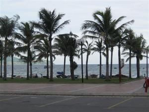Tourism Soars High in Da Nang Tourism Soars High in Da Nang