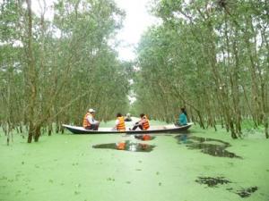 Tra Su Cajuput Forest is a must in flooding season Tra Su Cajuput Forest is a must in flooding season