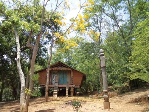 Troh Bu eco-tourism garden and the idea of wild orchid reserve Troh Bu eco-tourism garden and the idea of wild orchid reserve