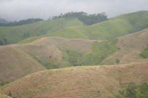 UN & Vietnam Teams to Clean Up Agent Orange