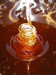 US Major Importer of Vietnam Honey